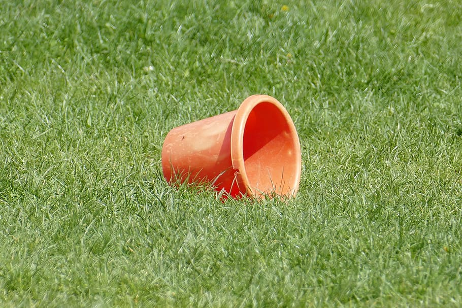 meadow, play bucket, rush, green, orange, grass, plant, red HD wallpaper