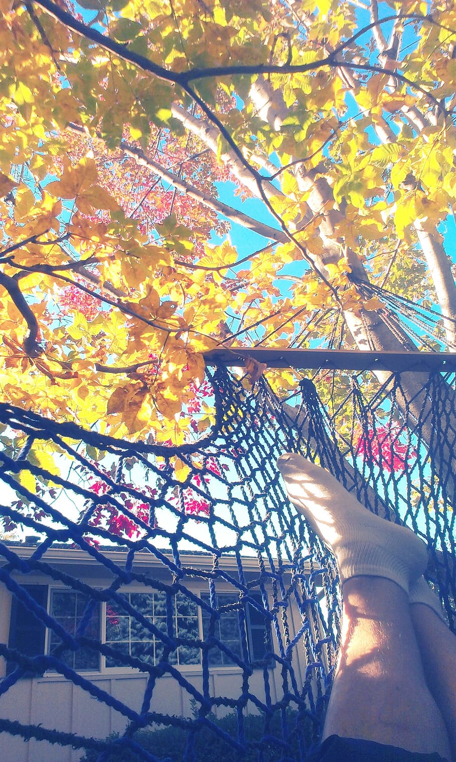 hammock, foot, tree, relax, relaxation, ease, lazy, sunny, summer HD wallpaper