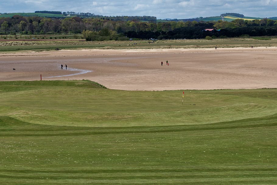 golf, golf course, green, grass, sport, sky, game, nature, landscape HD wallpaper