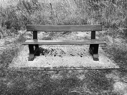 Bench, Black, White, Dark, Nature, Nature, Park, sitting, outdoor HD wallpaper
