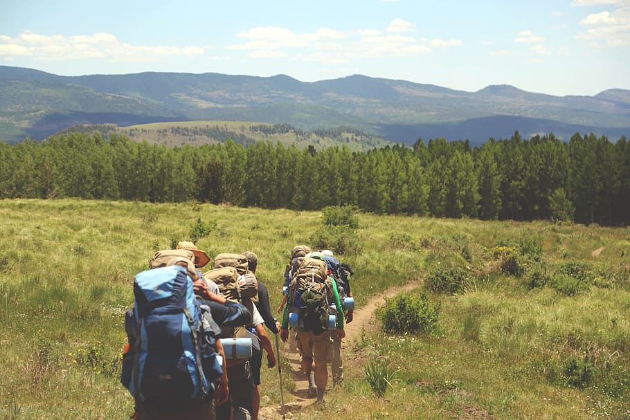 group of people walking across the grass, hiking, hikers, backpacks HD wallpaper