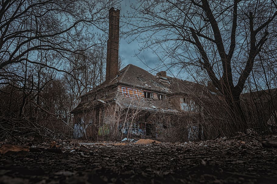 brown house in forest, lost place, homes, leave, uninhabited