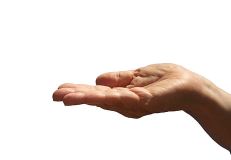 person's right palm, hand, open, give, take, human hand, human body part HD wallpaper