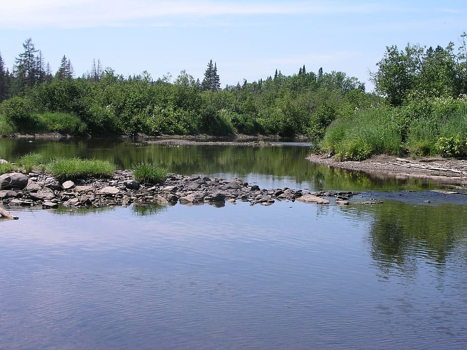 maine, river, stream, water, nature, natural, rock, summer HD wallpaper