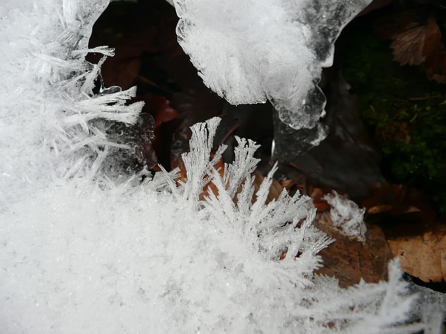 Ice, Hardest, Winter, Cold, eiskristalle, frozen, snow, frost HD wallpaper