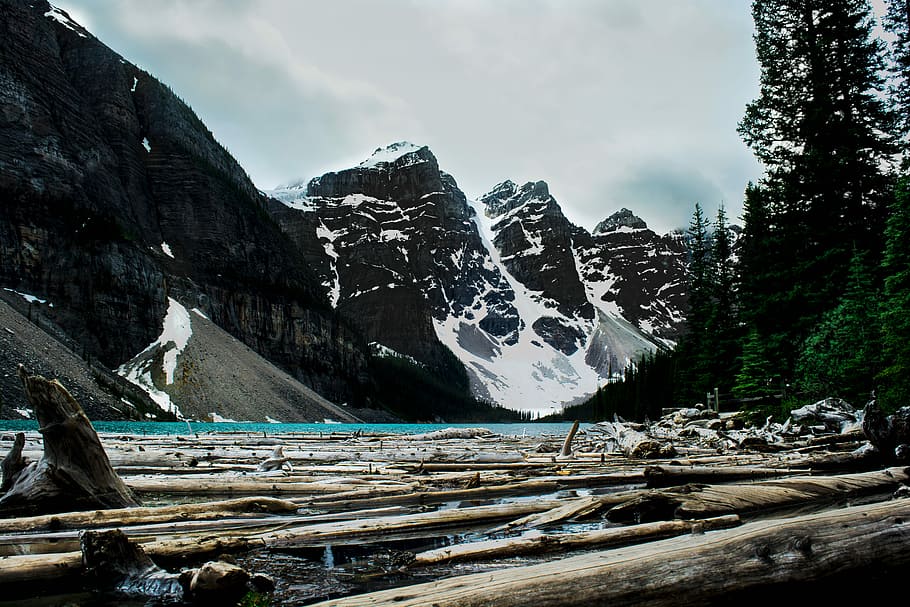 tree logs on body of water under mountains, photo of gray tree logs floating on river during daytime HD wallpaper