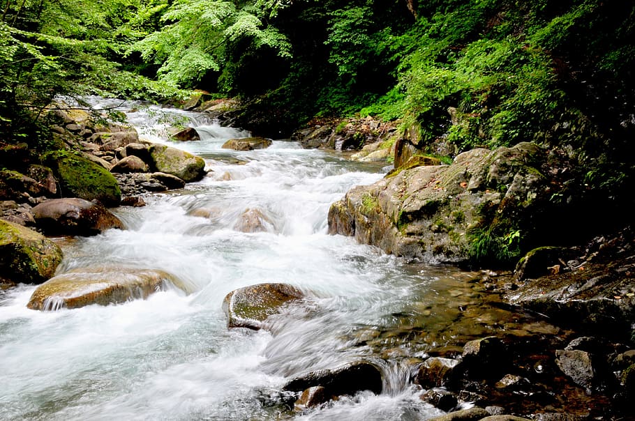 Water, River, Valley, Valley, Green, Natural, natural water HD wallpaper