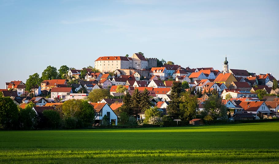 panorama, summer, grass, sky, castle, church, market, village HD wallpaper