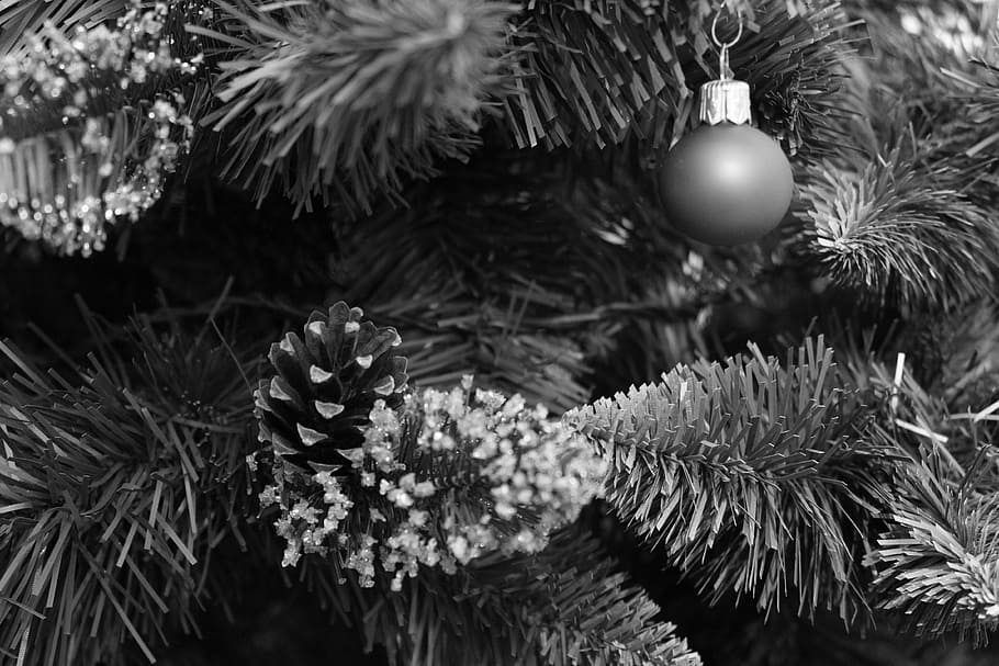 cone, christmas, sapling, ornament, christmas decoration, celebration HD wallpaper
