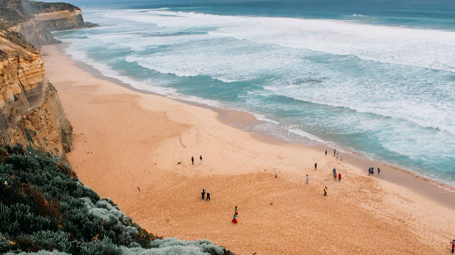 aerial view of shore, people near seashore during daytime, beach HD wallpaper