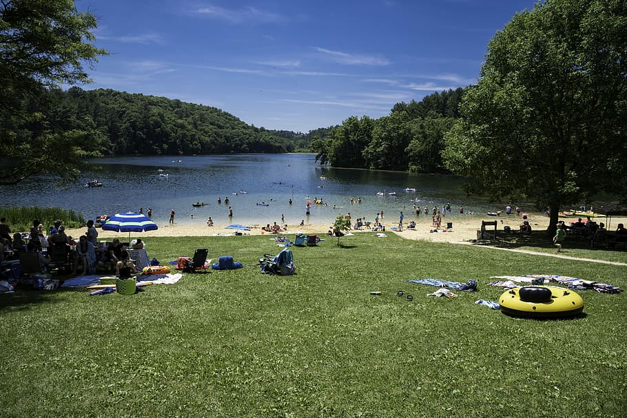 Beach and Cox Hollow Lake at Governor Dodge State Park, Wisconsin, HD wallpaper