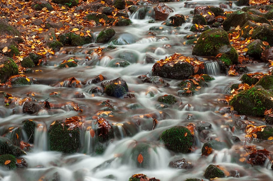 timelapse photo of river, forest, kennedy, waterfall, november HD wallpaper
