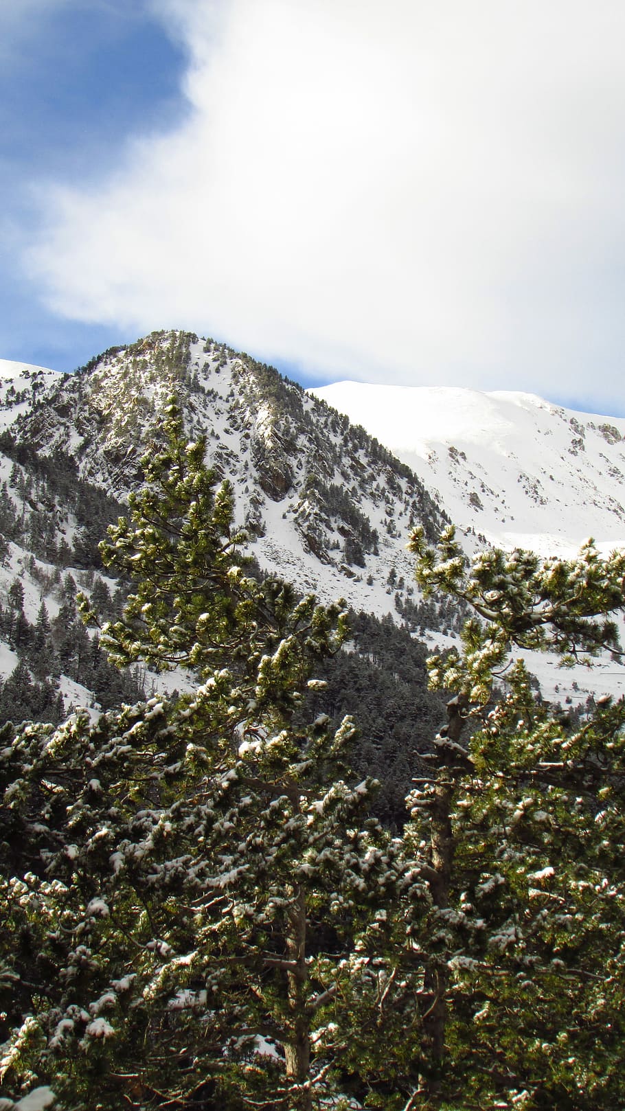 Mountain, Nevada, Top, Snow, Pyrenees, pine, nevado, sky, mountain landscape HD wallpaper