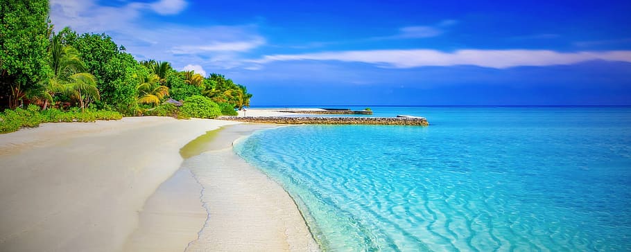 white sand beach during daytime, sandy beach, paradise, paradise beach