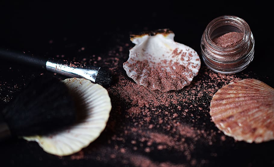 brown powder on white clam shells, makeup, shadows, rouge, beauty HD wallpaper