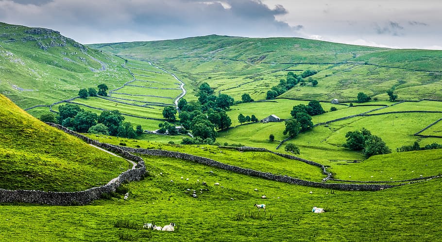 English Countryside ① british countryside HD wallpaper  Pxfuel