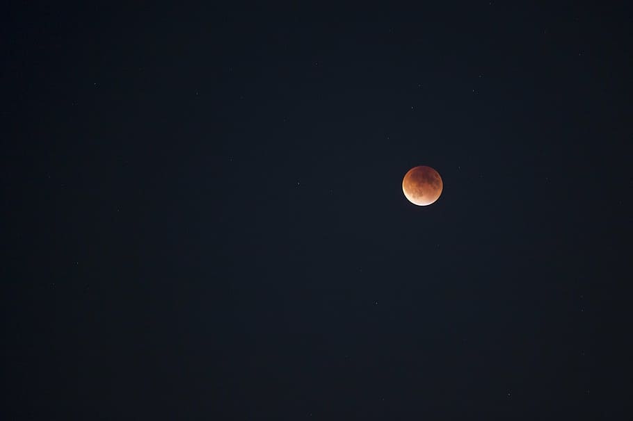 photo of moon, lunar eclipse, blood moon, night, astronomy, red