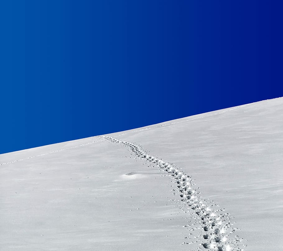 footprints in snow field under blue sky, landscape photo of snow-covered hill under clear blue sky HD wallpaper