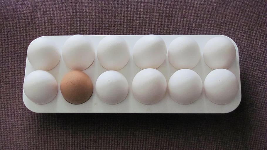 eggs, food, breakfast, white, protein, chicken, food and drink HD wallpaper