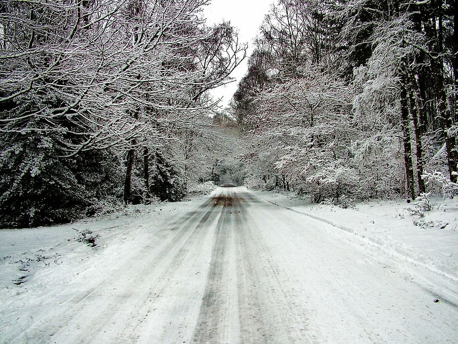 landscape photography of trees and road, snow, white, winter, HD wallpaper