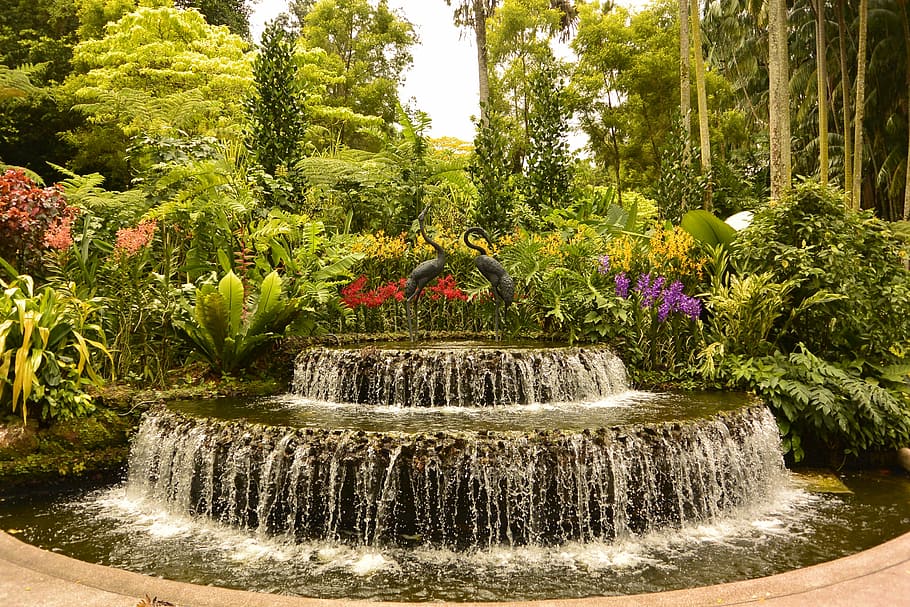 Singapore, Botanical Garden, Fountain, water, tree, outdoors, HD wallpaper