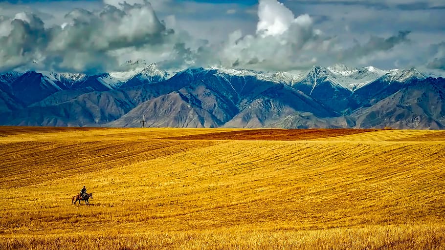 man riding brown horse, mountains, snow, sky, clouds, meadow HD wallpaper