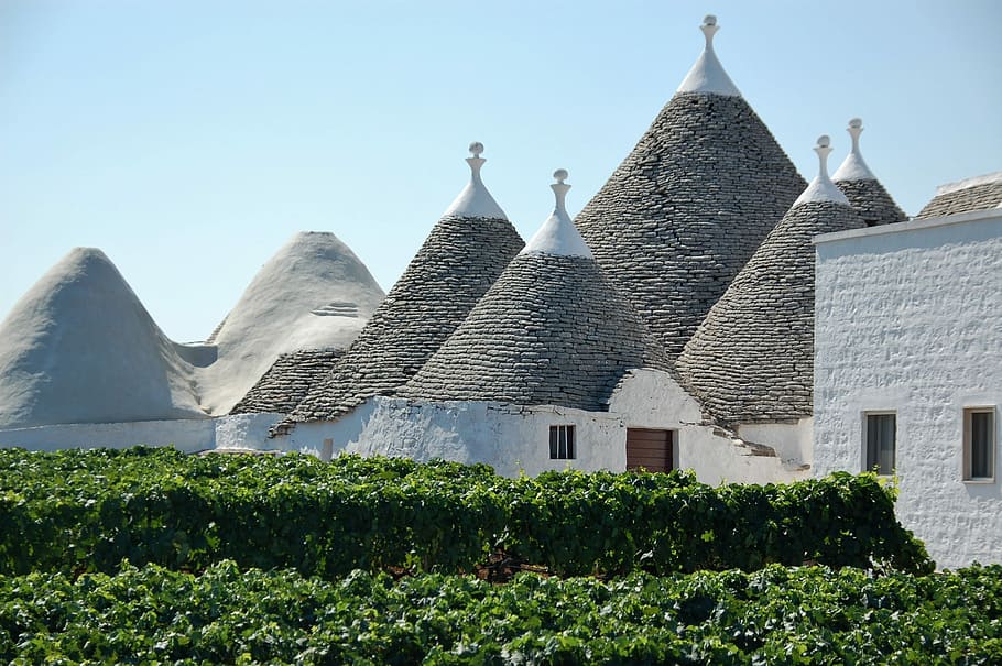 beige and white concrete buildings near green plant garden, Trulli