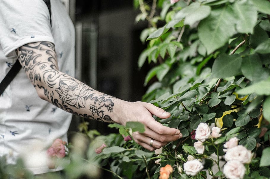 skull and plants half sleeve by Evan Olin  Tattoos