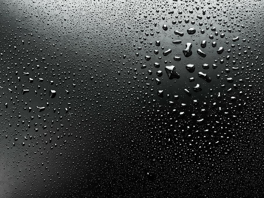 Hd Wallpaper Water Dew On Black Surface Water Droplets Wet Macro