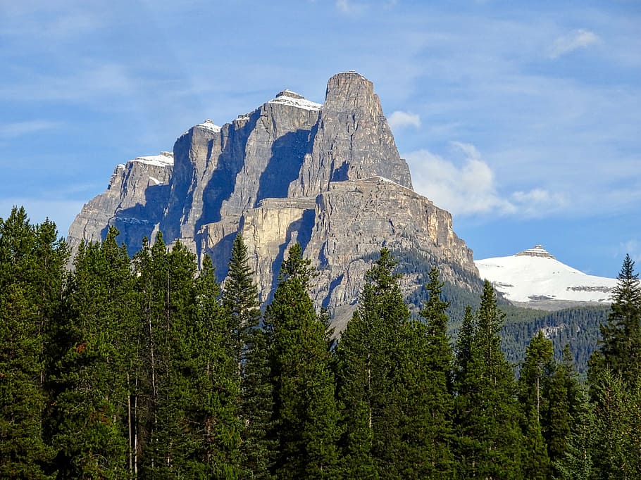 mountain, forest, peak, clouds, landscape, natural, nature HD wallpaper