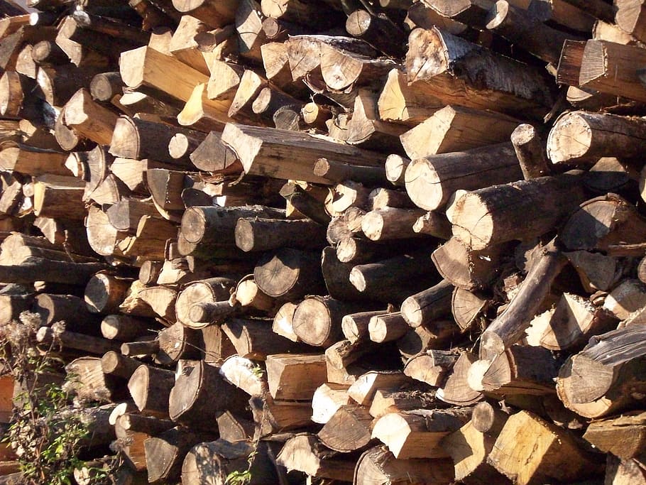 wood, texture, nature, log, timber, wood - material, lumber industry HD wallpaper