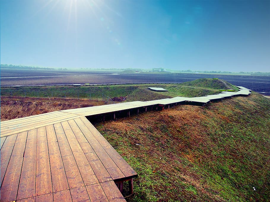 Path, Away, Wood, Web, sky, migratory path, hiking, nature HD wallpaper