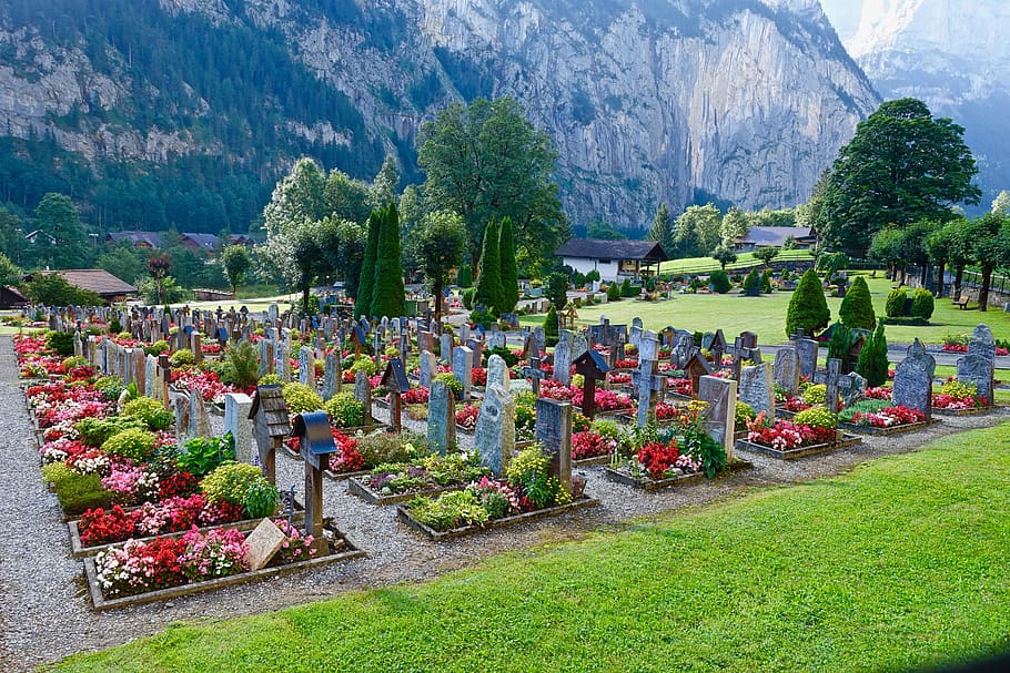 cemetery, lauterbrunnen, alps, switzerland, panorama, massif, HD wallpaper