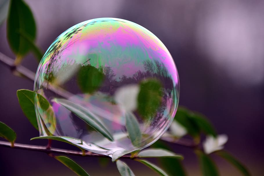 selective focus photography of bubble, Soap Bubble, Iridescent HD wallpaper