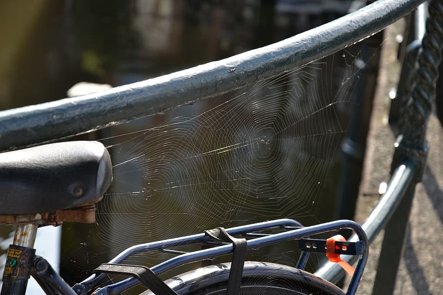 web, light, bicycle, black, amsterdam, holland, classic, transportation HD wallpaper