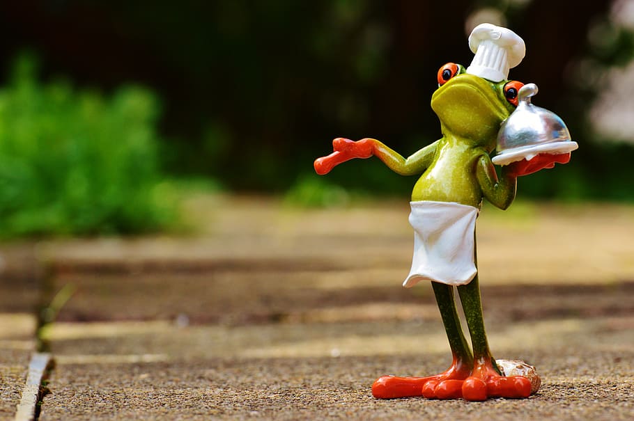 frog chef photography, cooking, eat, kitchen, gourmet, food HD wallpaper