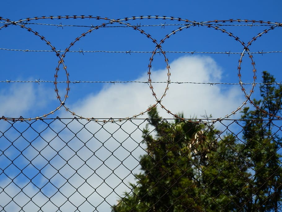 barbed wire, security, protection, fence, barrier, safety, boundary HD wallpaper