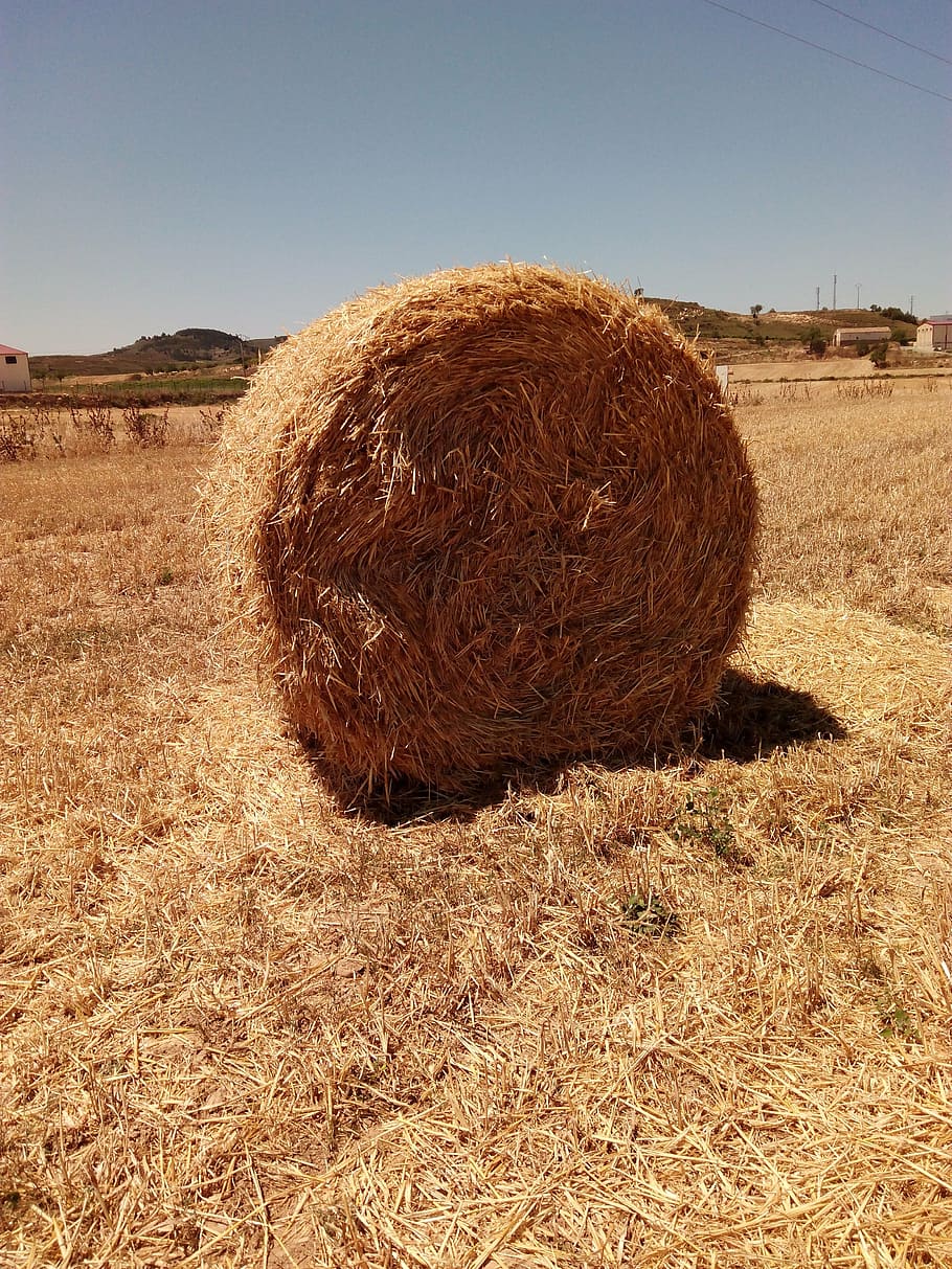 sky, straw, rolls, field, nature, background, meadows, straw bale HD wallpaper