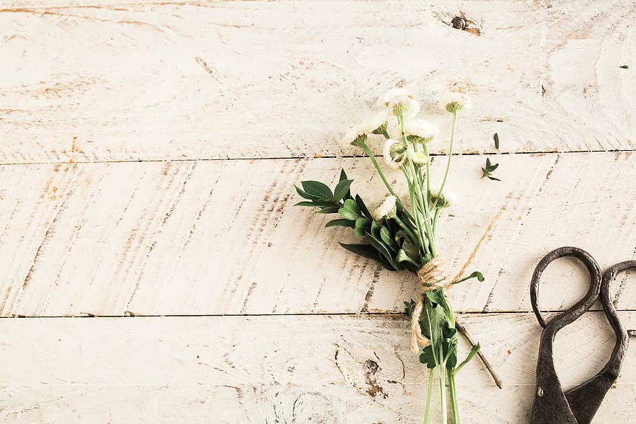 bright, flowers, leaves, rustic, scissors, surface, texture HD wallpaper