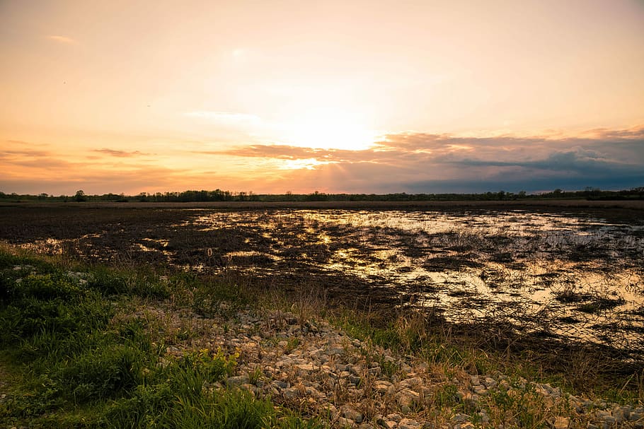 Sunset landscape colors over the Marsh, 