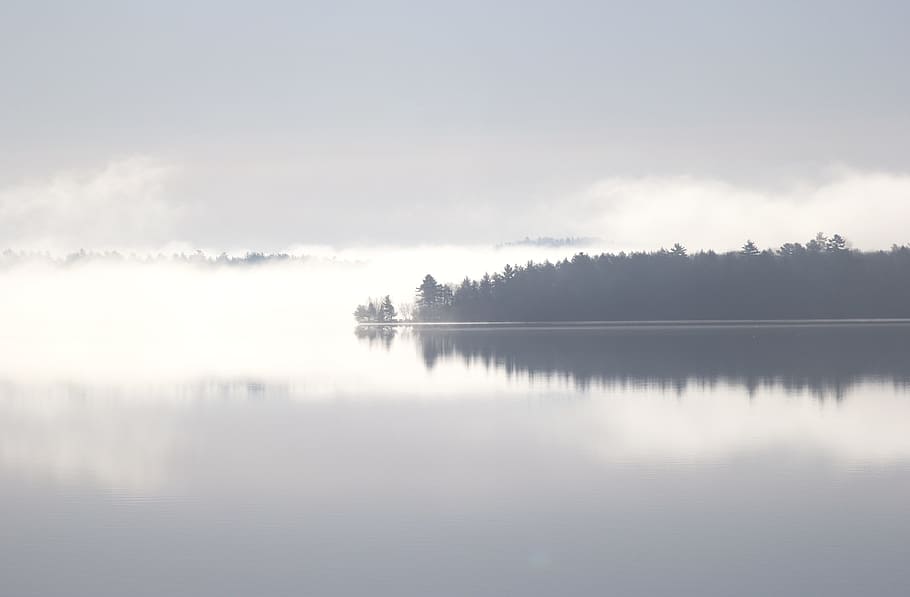 trees near sea at daytime, lake, reflection, water, gray, nature HD wallpaper