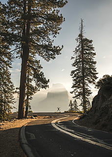 photo of concrete road, green spruce trees beside the road, mountain HD wallpaper