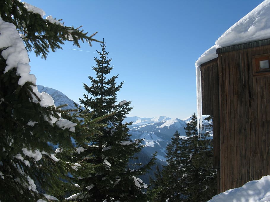 icicle, snow, chalet, tree, pine, winter, mountains, alps, france HD wallpaper