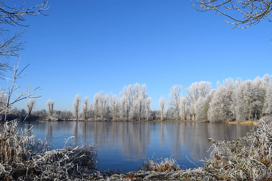 cold, winter, white, lake, wintry, sunny, water, sky, tranquility HD wallpaper