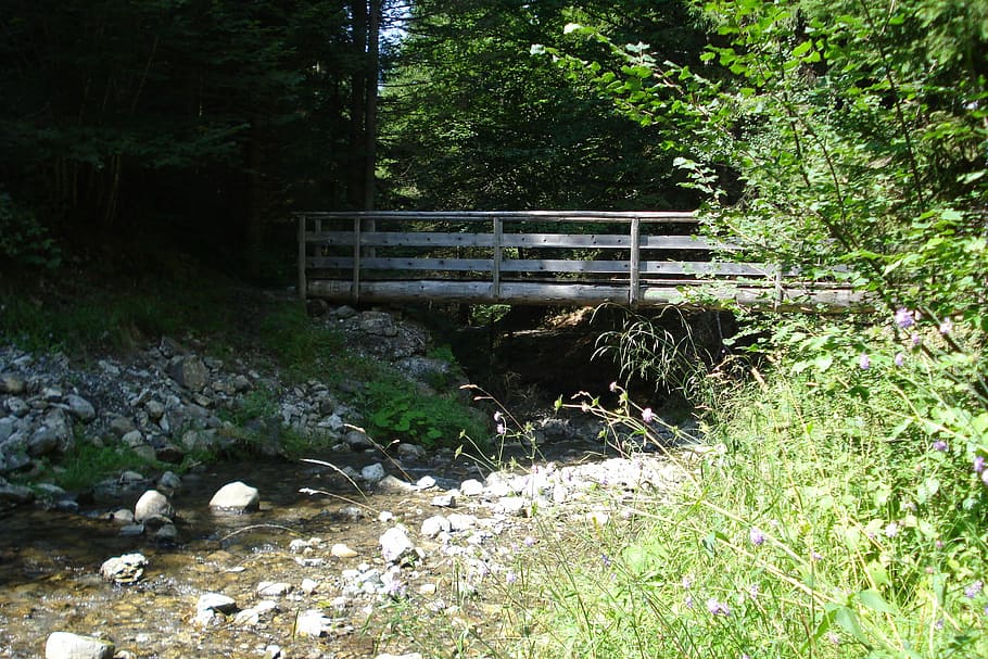 Bach, Bridge, Nature, Water, summer, bridge brook, fuel and power generation HD wallpaper