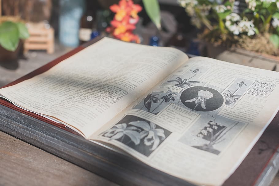 white and black book sheet, pages, education, read, knowledge HD wallpaper