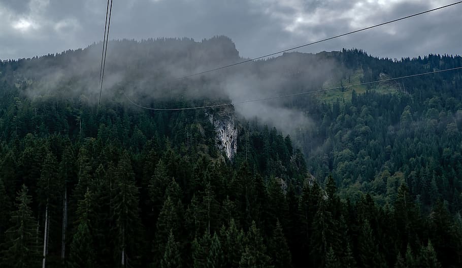 suspension cable crossing two hill, photography of trees under gray cloudy sky HD wallpaper