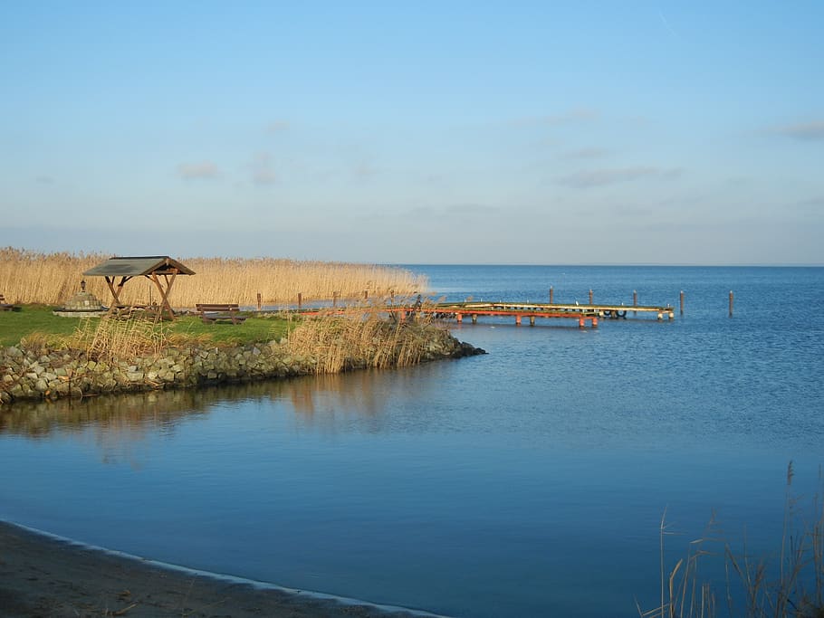 bank, water, reed, web, sky, beauty in nature, scenics - nature HD wallpaper