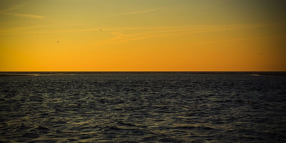 Summer, Sunset, Beach, nature, scenics, sea, beauty in nature HD wallpaper