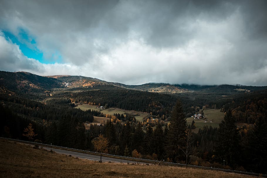 Autumnish Blackforest., concrete road near green field under cloudy sky HD wallpaper